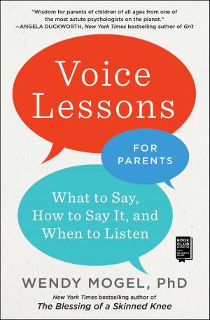 Cover of the book Voice Lessons for Parents by Colm Toibin