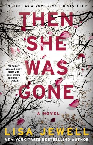 Cover of the book Then She Was Gone by Meika Hollender, Alexandra Zissu