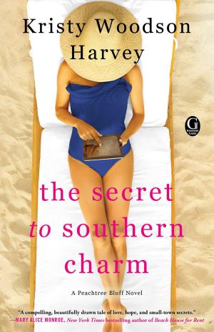 Cover of the book The Secret to Southern Charm by Dave Fromm
