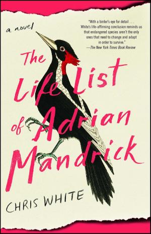 bigCover of the book The Life List of Adrian Mandrick by 
