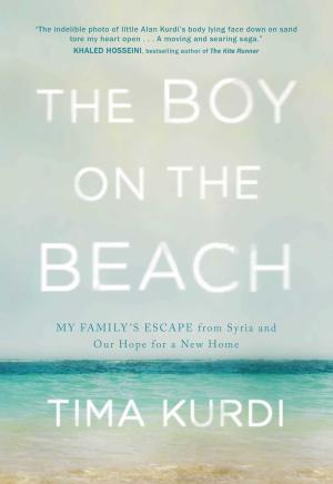Cover of the book The Boy on the Beach by Fred Kaplan