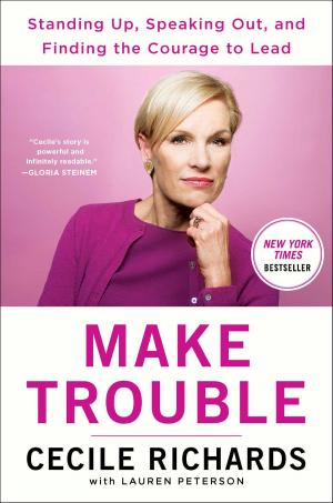 Book cover of Make Trouble