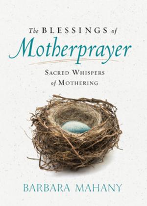 bigCover of the book The Blessings of Motherprayer by 