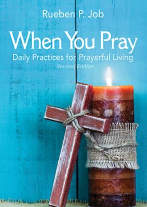Cover of the book When You Pray Revised Edition by Sheridan Voysey