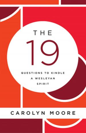 Cover of the book The 19 by Ace Collins