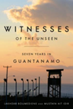 Cover of the book Witnesses of the Unseen by Erica Bornstein