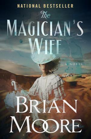 Cover of the book The Magician's Wife by Karen Rispin