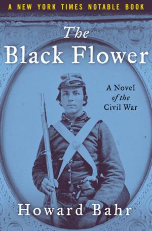 Cover of the book The Black Flower by Janet Taylor Lisle