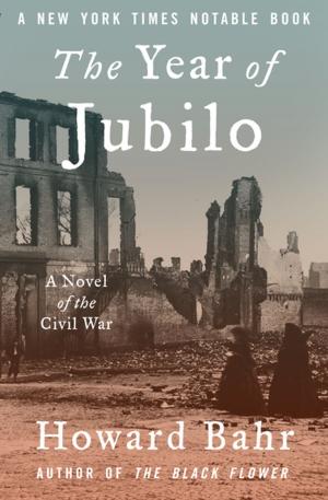 Cover of the book The Year of Jubilo by Meryl Sawyer