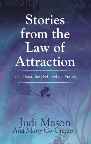 Cover of the book Stories from the Law of Attraction by Cydney Marshall