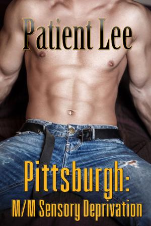 Cover of the book Pittsburgh by Tasha S. Heart