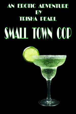 Book cover of Small Town Cop
