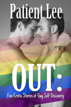 Book cover of OUT: Five Erotic Stories of Gay Self-Discovery
