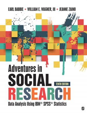 Cover of the book Adventures in Social Research by Ian Chaston