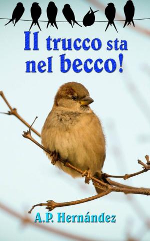 Cover of the book Il trucco sta nel becco! by Mary Jo Nickum