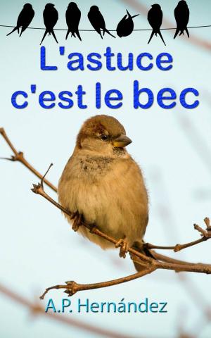 Cover of the book L'astuce, c'est le bec by Claudio Ruggeri