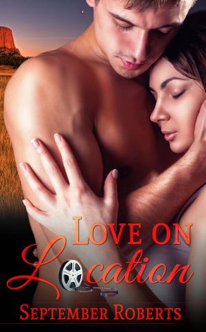 Cover of the book Love on Location by Donna  Simonetta