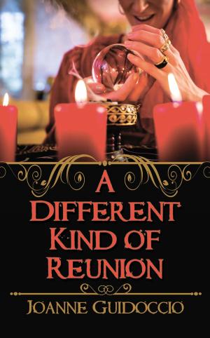 Cover of the book A Different Kind of Reunion by Robyn Rychards