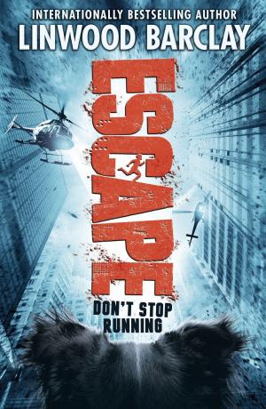 Cover of the book Escape by Hilary McKay