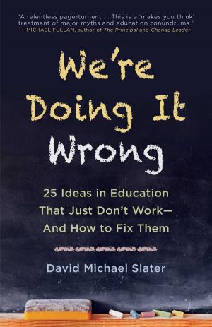 Cover of the book We're Doing It Wrong by Phil Mason