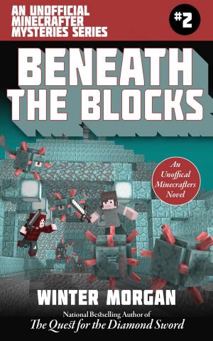 Book cover of Beneath the Blocks