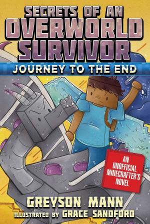 Cover of the book Journey to the End by Mark Cheverton