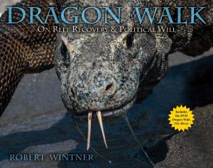 Cover of the book Dragon Walk by Simon Pridmore