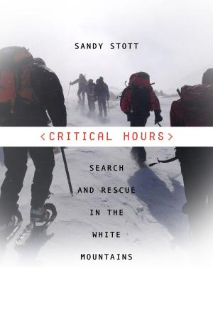 Cover of the book Critical Hours by John Biggar