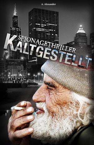 Book cover of Kaltgestellt: Spionagethriller