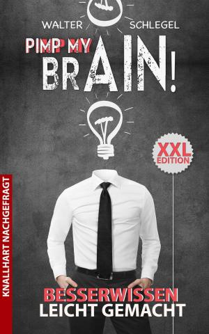 Cover of the book Pimp my brain! - Besserwissen leicht gemacht by Brian E. Bell