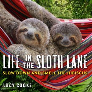 Cover of the book Life in the Sloth Lane by Molly Gilbert