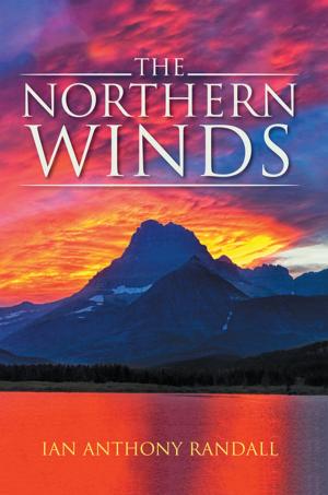 Cover of the book The Northern Winds by Darren Burrow