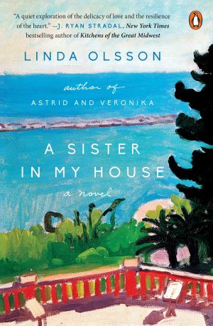 Cover of the book A Sister in My House by Jean Zimmerman