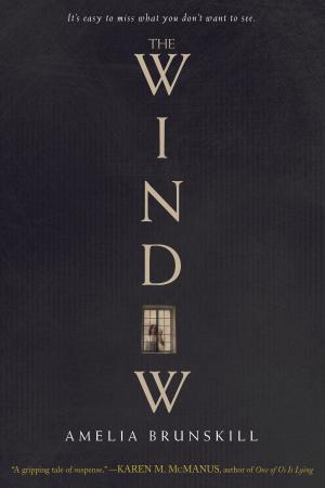 Cover of the book The Window by Liz Ruckdeschel, Sara James