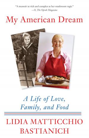 Cover of the book My American Dream by Maeve Binchy