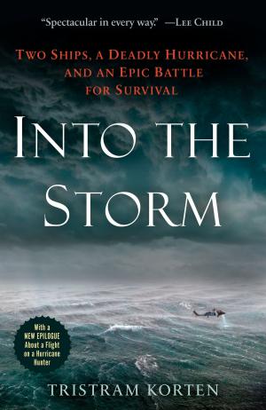 Cover of the book Into the Storm by W.G. Sebald