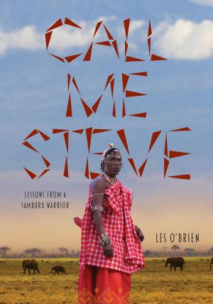 Cover of the book Call Me Steve by Alain Fournier