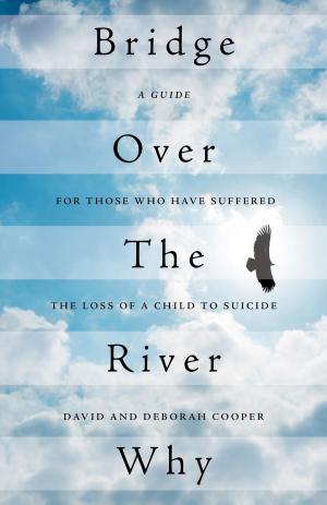 Cover of the book Bridge Over The River Why by Corinne Jeffery