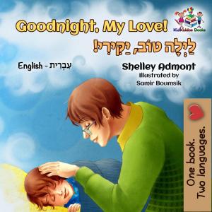 Cover of Goodnight, My Love! (English Hebrew children's book)