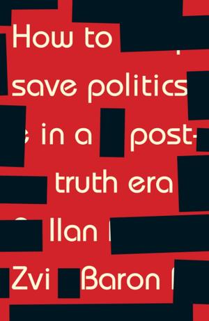 Cover of the book How to save politics in a post-truth era by M. Anne Brown