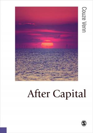 Cover of the book After Capital by Professor Rowan Bayne, Gordon Jinks