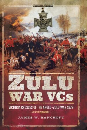 Book cover of Zulu War VCs