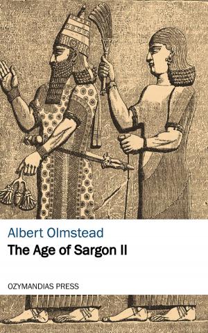 Cover of the book The Age of Sargon II by Cecilia Ady
