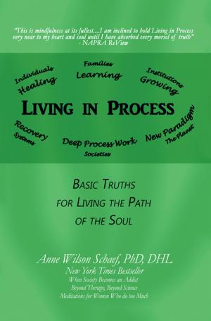 Book cover of Living in Process