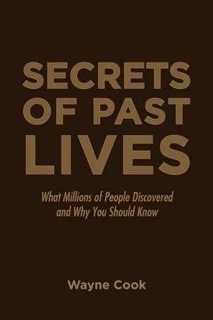 Cover of the book Secrets of Past Lives by JAMES M. VESELY