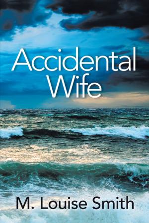 Cover of the book Accidental Wife by Rev. Susanna Stefanachi Macomb