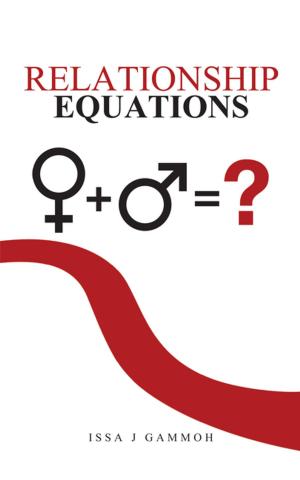 Book cover of Relationship Equations