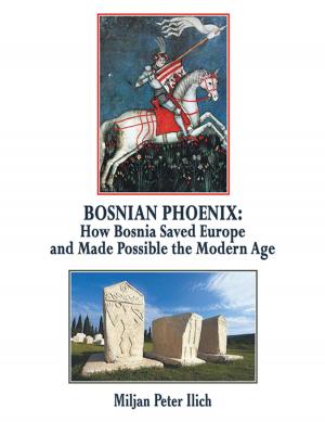 Cover of the book Bosnian Phoenix by Quasi (Typed by Steve Fisher)