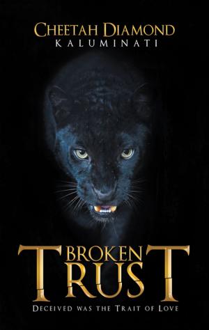 Cover of the book Broken Trust by A. E. Hinton