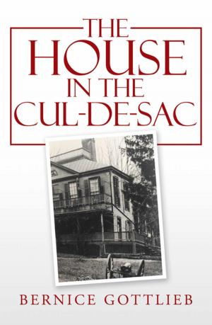 Book cover of The House in the Cul-De-Sac